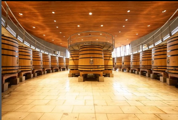 Rows of oak barrels and vats in a warm, vaulted barrel hall