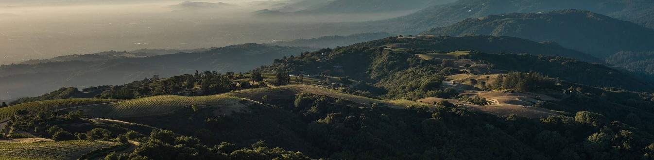Evening light settling over golden rolling wine-country hills